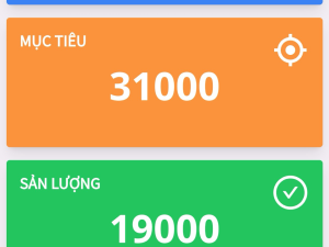 Phần mềm quản lý năng suất và báo cáo sản lượng tự động - Nhà máy Leo Floor